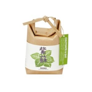 Shiso Growing Kit