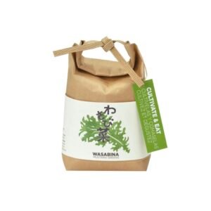 Wasabina Growing Kit