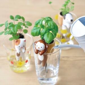 Shippons - Clover, Wild Strawberry, Basil